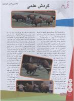مجله نوجوان 114 صفحه 14