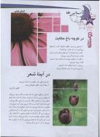 مجله نوجوان 124 صفحه 26