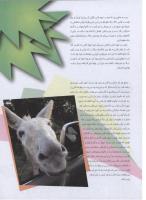 مجله نوجوان 126 صفحه 21