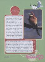 مجله نوجوان 138 صفحه 26