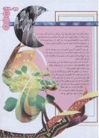 مجله نوجوان 140 صفحه 5