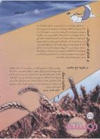 مجله نوجوان 140 صفحه 25