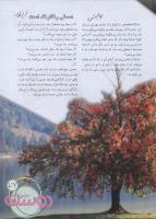مجله نوجوان 142 صفحه 27