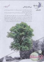 مجله نوجوان 144 صفحه 30