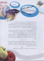 مجله نوجوان 146 صفحه 3