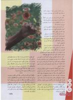 مجله نوجوان 155 صفحه 16