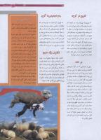 مجله نوجوان 177 صفحه 25