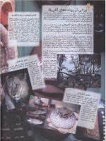 مجله نوجوان 18 صفحه 20