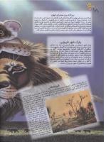 مجله نوجوان 18 صفحه 18