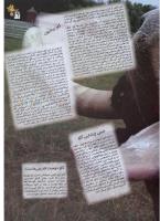 مجله نوجوان 20 صفحه 19