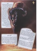 مجله نوجوان 20 صفحه 16