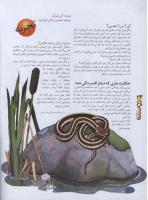 مجله نوجوان 20 صفحه 26