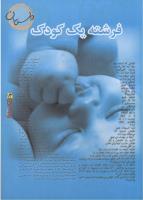 مجله نوجوان 20 صفحه 13