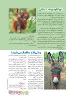 مجله نوجوان 234 صفحه 9