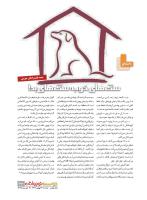مجله نوجوان 234 صفحه 33