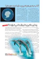 مجله نوجوان 235 صفحه 9