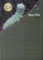 مجله نوجوان 24 صفحه 31