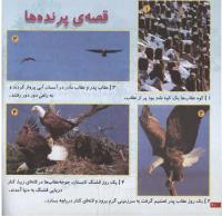 مجله خردسال 47 صفحه 20