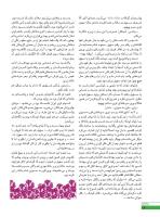 مجله نوجوان 244 صفحه 14