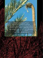 مجله نوجوان 248 صفحه 2