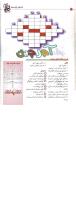 مجله کودک 16 صفحه 16
