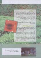 مجله کودک 248 صفحه 15
