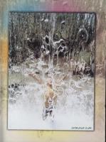 مجله کودک 31 صفحه 2