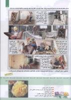 مجله کودک 326 صفحه 13
