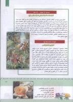 مجله کودک 326 صفحه 17