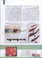 مجله کودک 328 صفحه 11