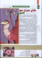 مجله کودک 330 صفحه 16