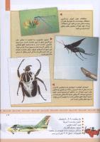 مجله کودک 335 صفحه 19