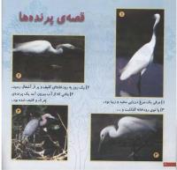 مجله خردسال 49 صفحه 20