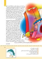 مجله کودک 339 صفحه 15