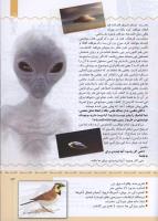 مجله کودک 344 صفحه 13