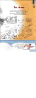 مجله کودک 346 صفحه 38