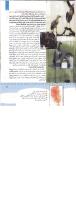 مجله کودک 346 صفحه 13