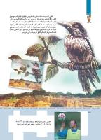 مجله کودک 361 صفحه 32