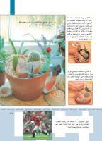 مجله کودک 361 صفحه 37