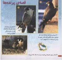 مجله خردسال 51 صفحه 20