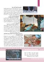 مجله کودک 368 صفحه 12