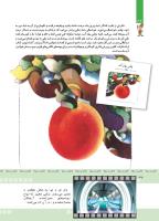 مجله کودک 371 صفحه 32