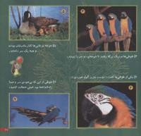 مجله خردسال 53 صفحه 21