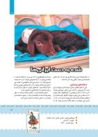 مجله کودک 393 صفحه 19