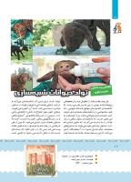 مجله کودک 393 صفحه 18