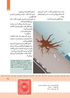 مجله کودک 394 صفحه 35