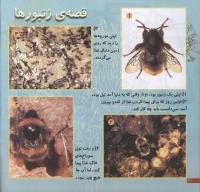 مجله خردسال 54 صفحه 20