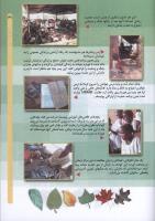 مجله کودک 60 صفحه 31