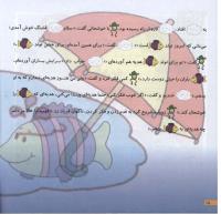 مجله خردسال 55 صفحه 18