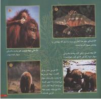 مجله خردسال 55 صفحه 21